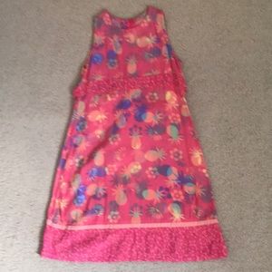 Blue Ginger Dress Size 4